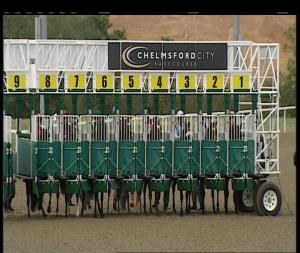 Video preview image for Chelmsford City 17:40 - Bet Toteplacepot At betfred.com Novice Auction Stakes (4)