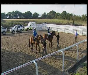 Video preview image for Chelmsford City 17:50 - Gates Ford Apprentice Handicap (6)