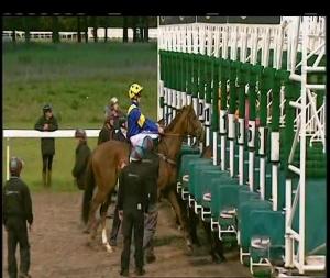Video preview image for Chelmsford City 18:20 - Carol Whitwood Memorial Handicap (5)