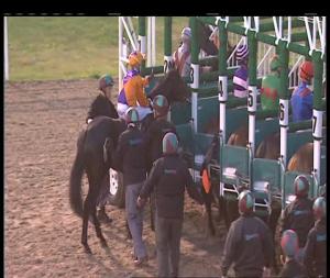 Video preview image for Chelmsford City 18:40 - Bet Totejackpot At betfred.com Novice Auction Stakes (4)