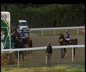 Video preview image for Chelmsford City 18:50 - Betsi Golden Mile Novice Stakes (4)