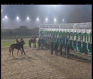 Video preview image for Chelmsford City 19:10 - Bet Totequadpot At betfred.com Handicap (6)