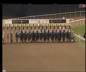 Video preview image for Chelmsford City 19:40 - Bet Toteexacta At betfred.com Handicap (4)
