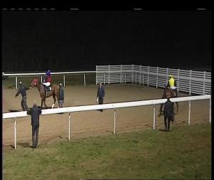 Video preview image for Chelmsford City 19:40 - Bet Toteexacta At betfred.com Fillies' Handicap (4)
