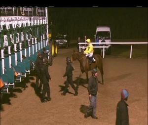 Video preview image for Chelmsford City 19:45 - Chelmsford City Racecourse Supporting Havens Hospices Median Auction Maiden Stakes (4)