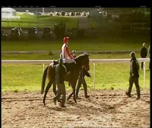 Video preview image for Chelmsford City 19:50 - John Goode Memorial Handicap (3)