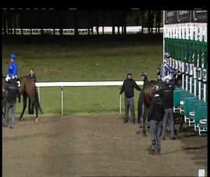 Video preview image for Chelmsford City 20:50 - Joe Scanlon Birthday Celebration Fillies' Handicap (3)