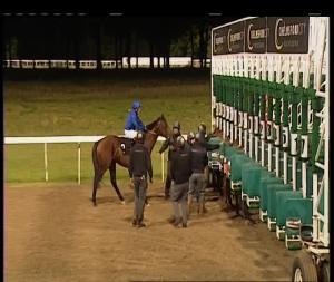 Video preview image for Chelmsford City 21:10 - Wickham Engineering Maiden Stakes (4)