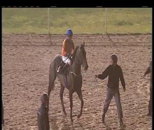 Video preview image for Chelmsford City 21:10 - Book Your Christmas Party Here Handicap (6)