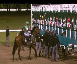 Video preview image for Chelmsford City 21:15 - Book Your Christmas Party Here Handicap (6) (Div 2)