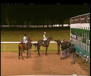 Video preview image for Chelmsford City 21:15 - 2018 Membership Now Available Maiden Stakes (5)