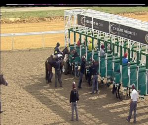 Video preview image for Chelmsford City 14:15 - Bet Toteexacta At totesport.com Handicap (3)