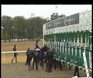 Video preview image for Chelmsford City 14:50 - Gates Leasing Ltd EBF Fillies' Novice Stakes (4)