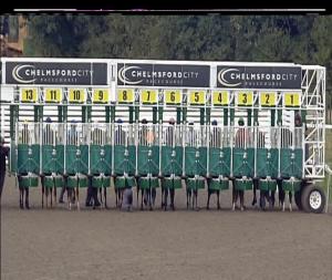 Video preview image for Chelmsford City 15:25 - Bet Totetrifecta At totesport.com Elsenham Handicap (2)