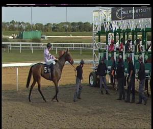 Video preview image for Chelmsford City 17:10 - Book Tickets On chelmsfordcityracecourse.com Handicap (5)