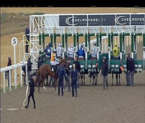 Video preview image for Chelmsford City 17:45 - £20 Free Bets At totesport.com Nursery Handicap (4)