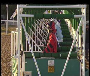 Video preview image for Chelmsford City 17:45 - £20 Free Bets At totesport.com Nursery Handicap (5)