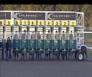 Video preview image for Chelmsford City 18:15 - Totepool Cashback Club At totesport.com Fillies' Novice Stakes (4)