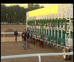 Video preview image for Chelmsford City 18:15 - Bet Toteexacta At totesport.com Fillies' Handicap (5)