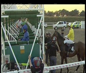 Video preview image for Chelmsford City 19:15 - Betfred Conditions Stakes (2)