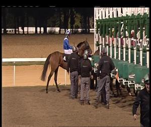 Video preview image for Chelmsford City 19:15 - Bet Totetrifecta At totesport.com Handicap (4)