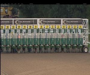 Video preview image for Chelmsford City 19:45 - Betfred Chelmsford City Cup Handicap (2)