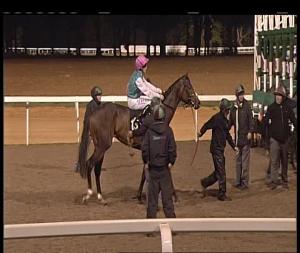 Video preview image for Chelmsford City 19:45 - Natta Building Company Ltd Novice Stakes (4)