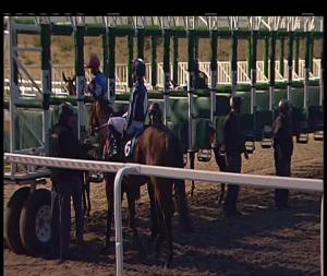 Video preview image for Chelmsford City 19:45 - Bet In Play At totesport.com Handicap (5)