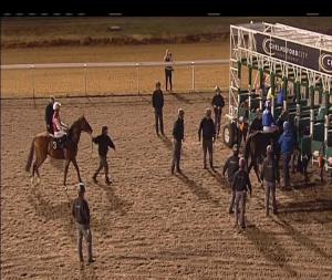 Video preview image for Chelmsford City 19:45 - Bet In Play At totesport.com Maiden Stakes (4)