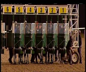 Video preview image for Chelmsford City 20:15 - Totepool Nursery Handicap (2)