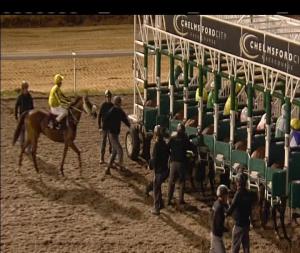 Video preview image for Chelmsford City 20:45 - Gentlemen's Day Here 22nd September Handicap (6)
