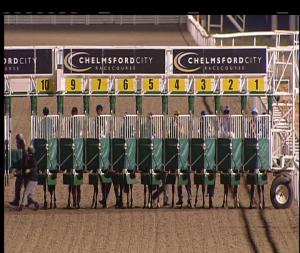 Video preview image for Chelmsford City 20:45 - Gentlemen's Day Here 22nd September Handicap (6)