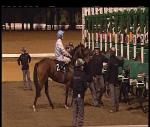 Video preview image for Chelmsford City 20:45 - Pearl Land Drainage Handicap (6) (Div 1)