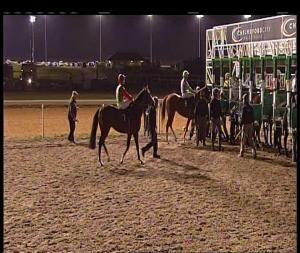 Video preview image for Chelmsford City 20:45 - Racegoers Club 50th Anniversary Handicap (6)