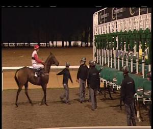 Video preview image for Chelmsford City 21:15 - Pearl Land Drainage Handicap (6) (Div 2)