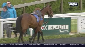 Video preview image for Ascot 15:10 - Carers Trust Handicap (4)