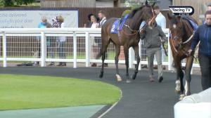 Video preview image for Ascot 14:50 - Carey Group Buckhounds Stakes (Listed) (1)