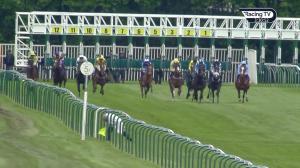 Video preview image for Nottingham 15:30 - EBF Weatherbys General Stud Book Kilvington Stakes (Listed) (1)