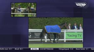 Video preview image for Ascot 16:35 - Barbados Novice Stakes (3)