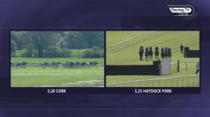 Video preview image for Haydock Park 17:25 - Pertemps Network Intermediate Handicap Chase (2)