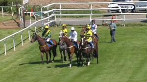 Video preview image for Ludlow 14:30 - Scott & Newman Centenary Estima Novices' Hurdle (4)