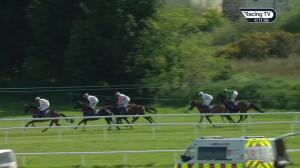 Video preview image for Wexford 16:10 - Vinegar Hill Beginners Chase 