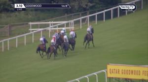 Video preview image for Goodwood 15:10 - British EBF Premier Fillies' Handicap (3)