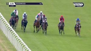 Video preview image for Goodwood 14:55 - Thames Materials Land Restoration Fillies' Handicap (4)
