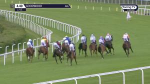 Video preview image for Goodwood 16:40 - thamesmaterials.com Handicap (4)