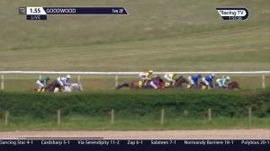 Video preview image for Goodwood 13:55 - Betfair Best Odds On Itv Races Festival Stakes (Listed) (1)