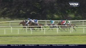 Video preview image for York 15:05 - William Hill Bronte Cup Fillies' Stakes (Group 3) (1)