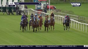 Video preview image for York 17:25 - John Wright Electrical Handicap (Gentleman Amateur Riders) (3)