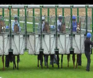 Video preview image for Cork 14:20 - Irish Stallion Farms E.B.F. Maiden