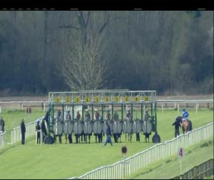 Video preview image for Cork 14:35 - Irish Stallion Farms E.B.F. Maiden